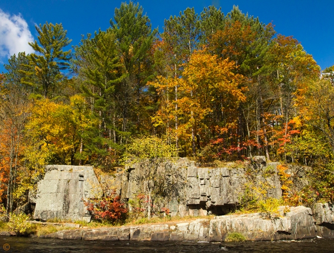 Fall color along the Eau Claire River as it flows past a massive rock wall at the Dells of the Eau Claire County Park in north-central Wisconsin. Sue Pischke, ©2013 ALL RIGHTS RESERVED
